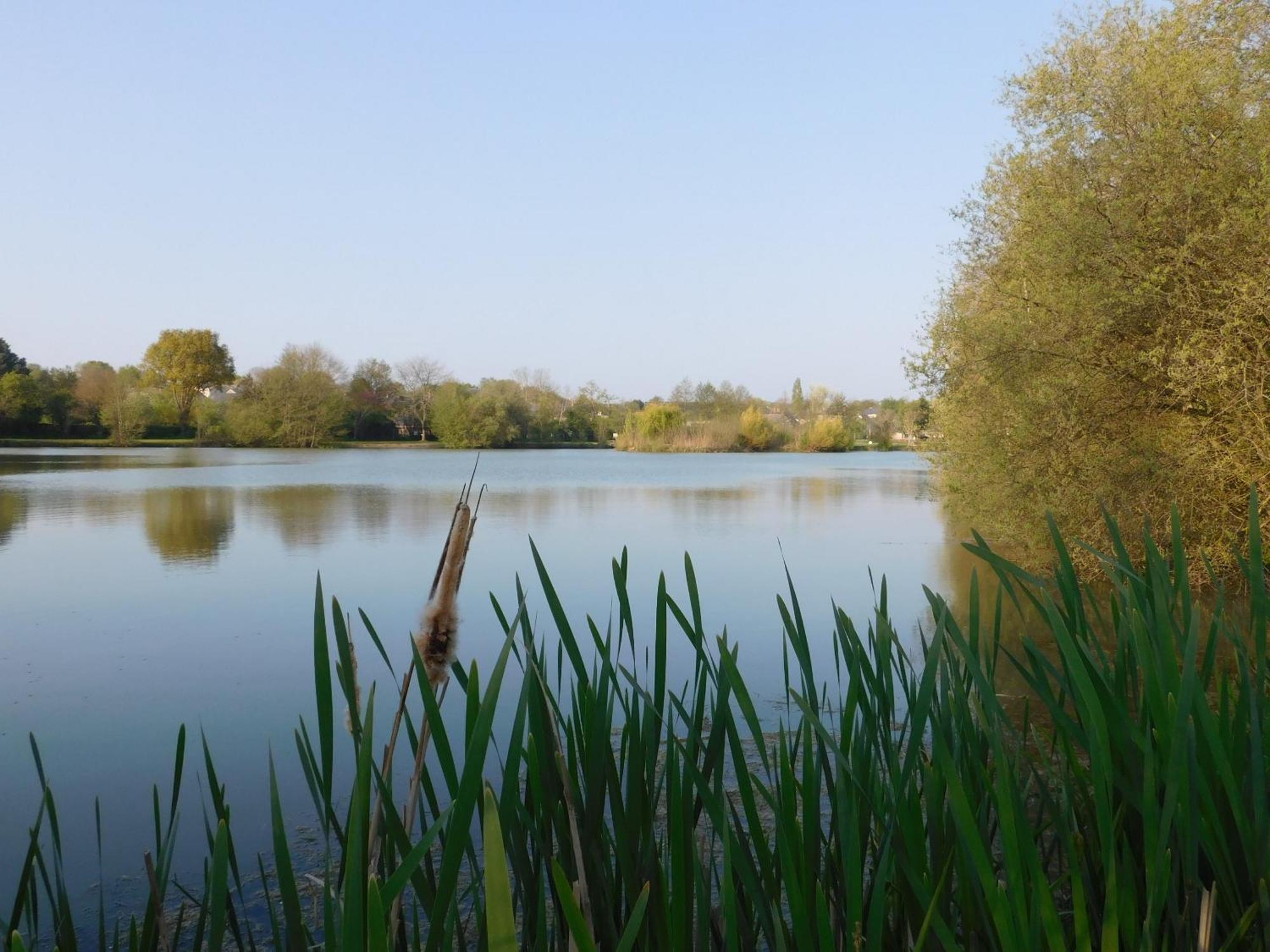 Bouere Village De Gites Nature Et Jardin מראה חיצוני תמונה